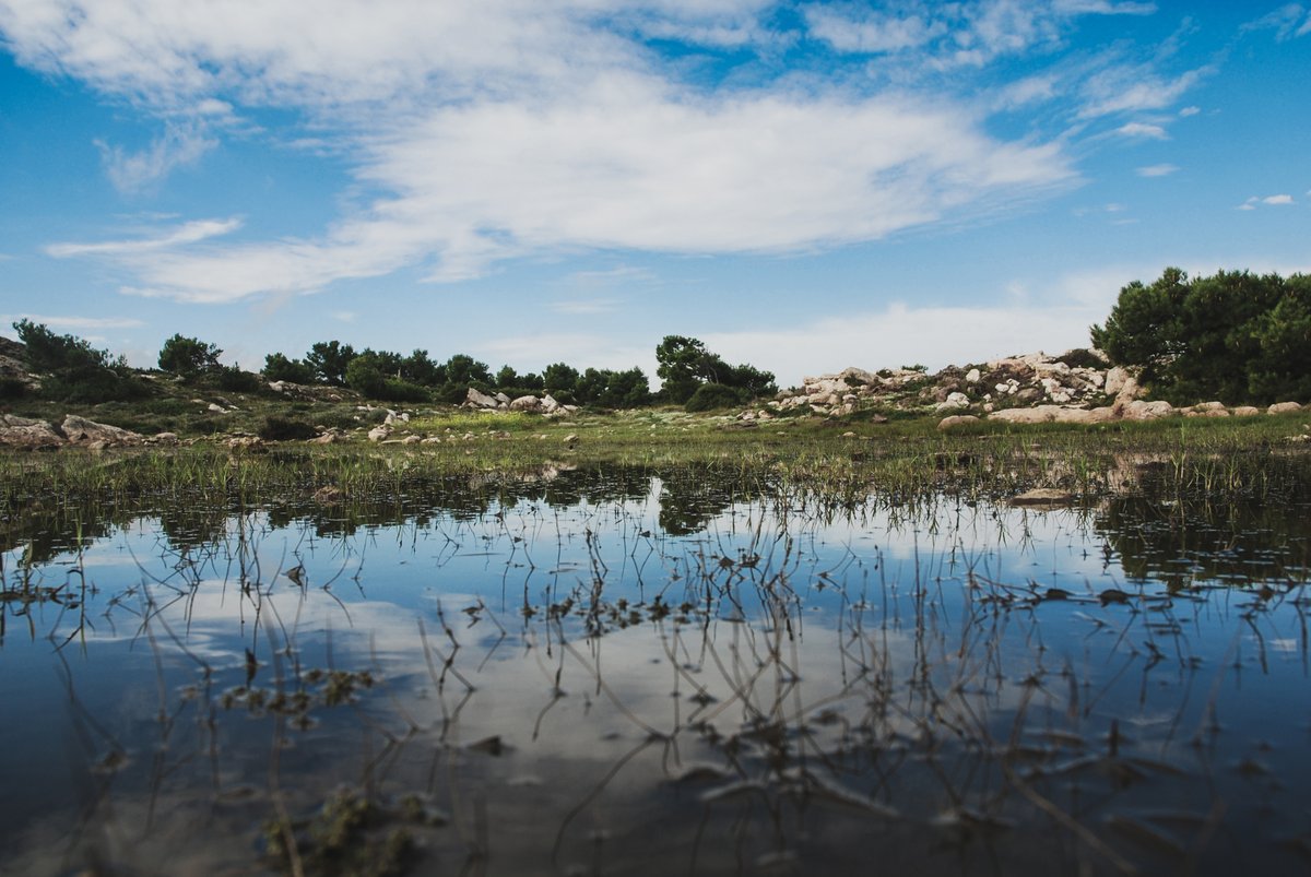 david_cunillera's tweet image. Yesterday it was the #WorldWetlandsDay ! And precisely to celebrate #wetlands and #SmallSystems together with @Zsofia_Horvath1 @lukic_dunja &amp;amp; #DaniBoix we are organizing an special session in #ASLO23 

⚠️Check SS092 On pond ecology in a changing world⚠️ aslo.org/palma-2023/sci…