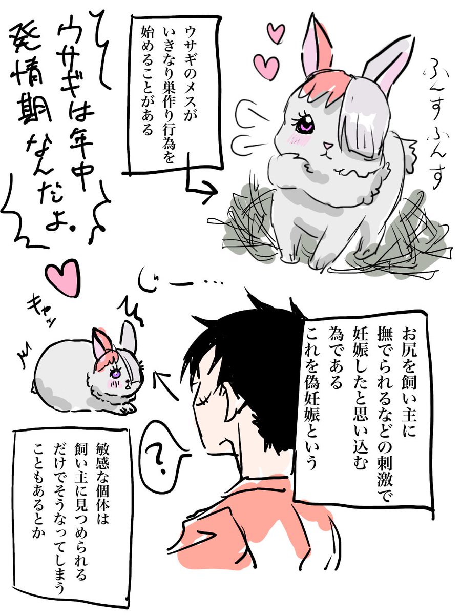 ウサ(タ)ちゃん 