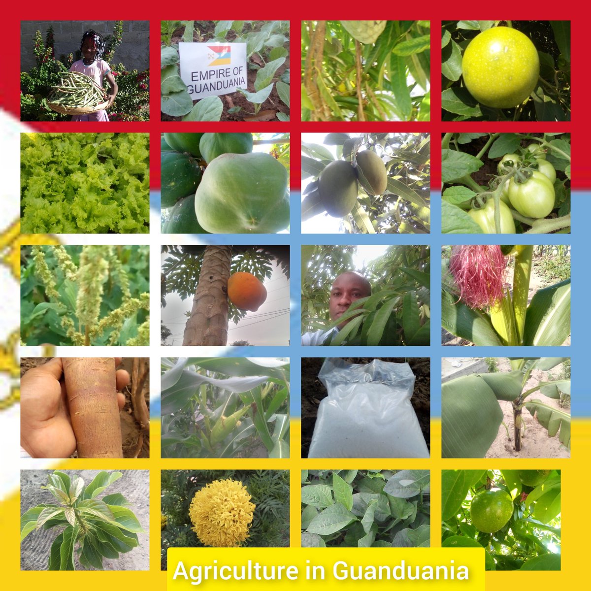 Empire of Guanduania ☮️ tweet media