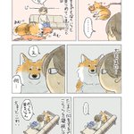 見つめたり、見つめられたり!とある「犬漫画」が話題に!