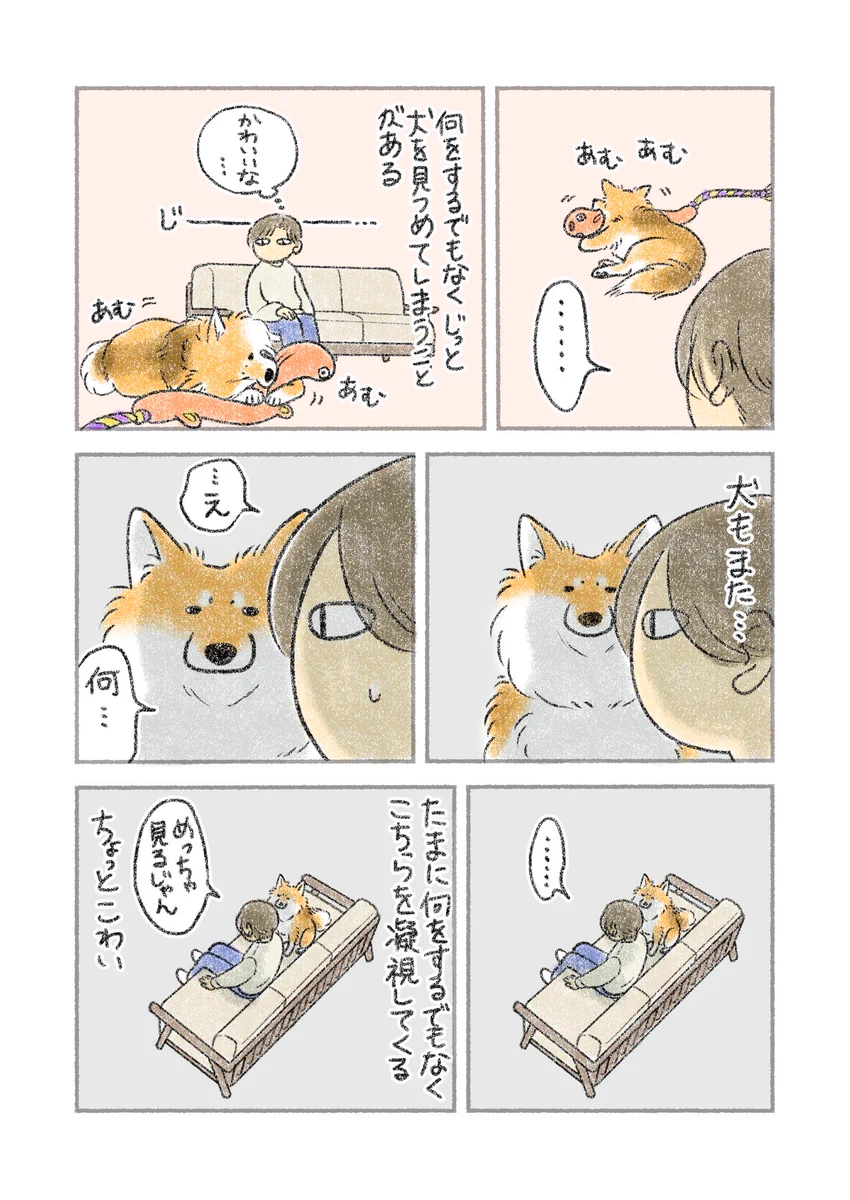 見つめたり、見つめられたり！とある「犬漫画」が話題に！