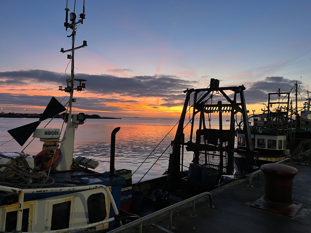 Lovely morning for #walk2work ⁦<a href="/SportActiveWex/">Sports Active</a>⁩ ⁦<a href="/visitwexford/">Visit Wexford</a>⁩