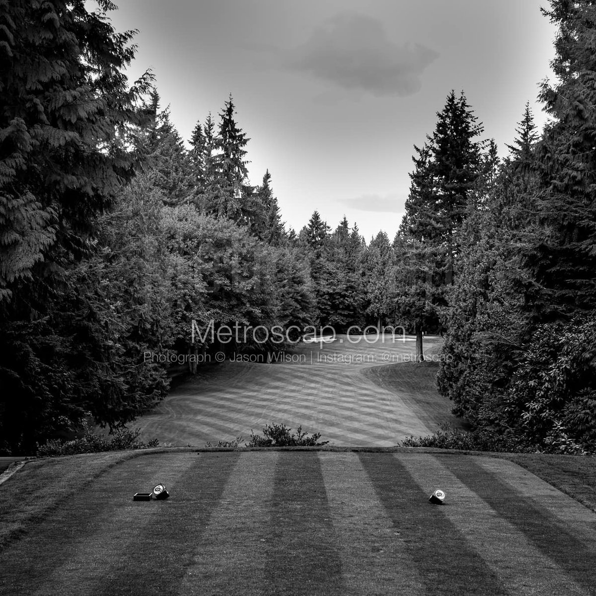 Golf photographs Black & White: Sahalee Country Club Number Seven #tigerwoods #jordanspeith #dustinjohnson #muirfieldVillage #theMemorial #sahaleeCC #beautifulgolfcourses #jacksplace #jasonday #BlackWhite | metroscap.com/golf-black-and…