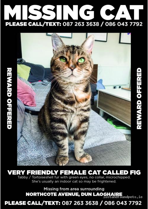 lostfoundpets's tweet photo. A female cat was lost on 21/09/2022 in Northcote Avenue, #Dun Laoghaire https://t.co/0z5Sw9K1aa #lpie https://t.co/4aNCncIMfO