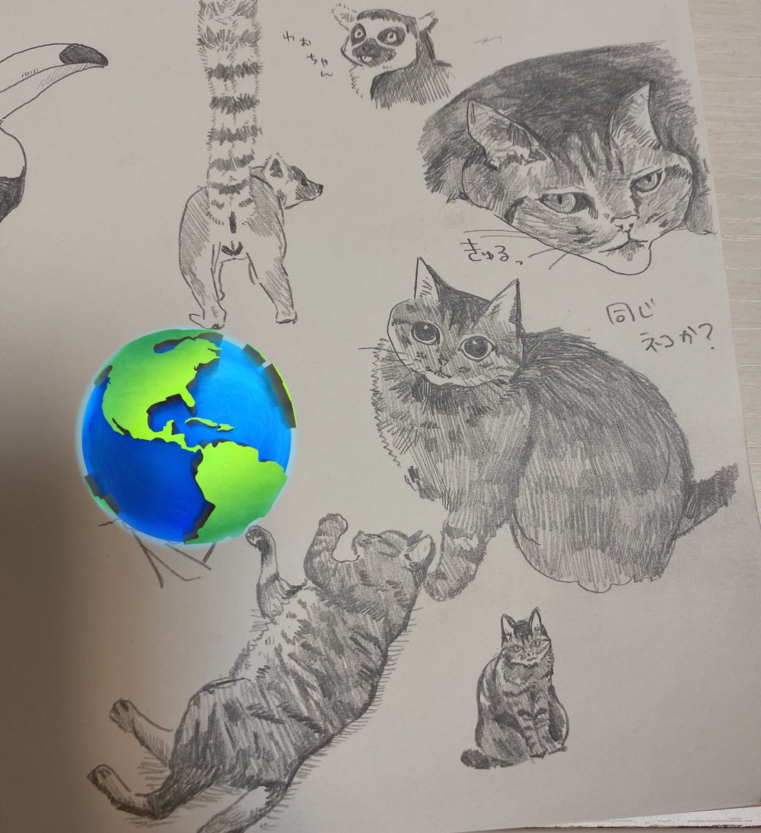 最近描いた実家の猫を見てくれ✌️✌️✌️✌️✌️✌️✌️✌️✌️✌️✌️✌️✌️✌️めっちゃ目つき悪いの、最高のチャームポイント❤❤❤❤❤❤❤❤❤ 