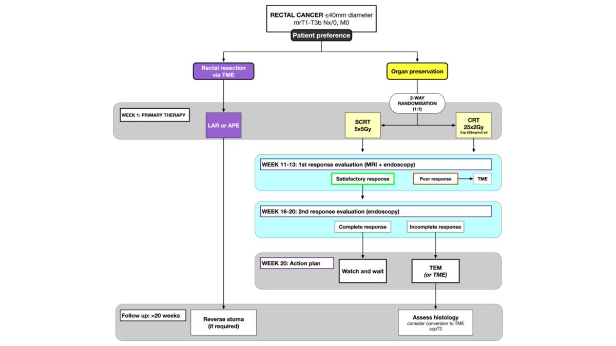 We're excited for STAR-TREC (RTX -> W+W or TEMS):
clinicaloncologyonline.net/article/S0936-…

#RectalCancer #ClinicalOncology