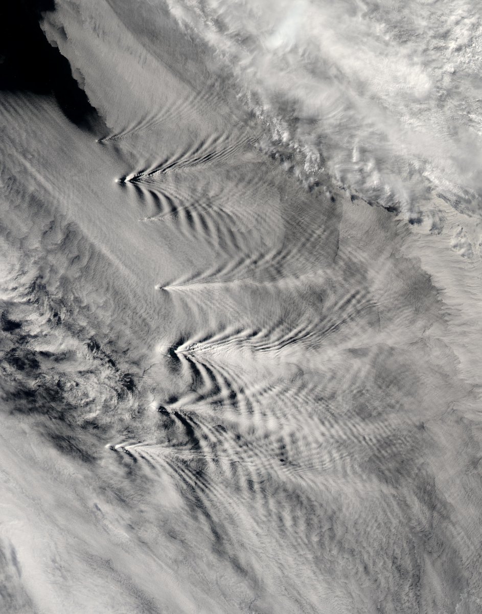CloudCup2's tweet photo. Pyrocumulus (left), Mountain Gravity Waves (right) https://t.co/hllQHtmRI8