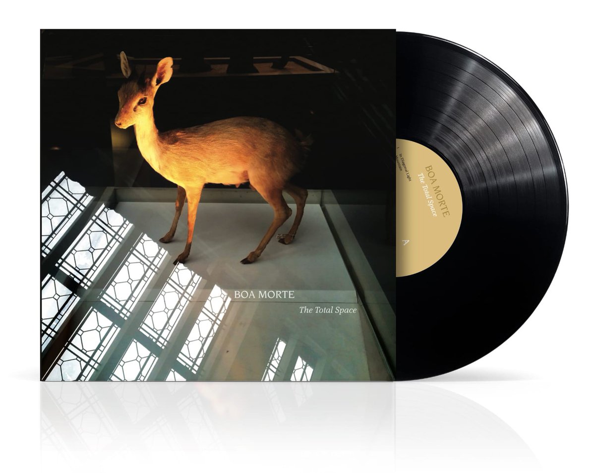 Boa Morte tweet media