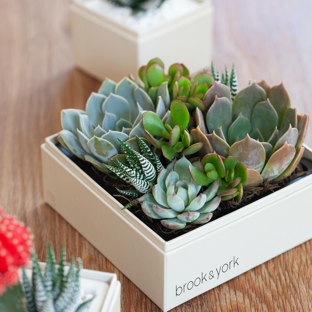 Valentine's Day is the perfect time to share the love! ❤️