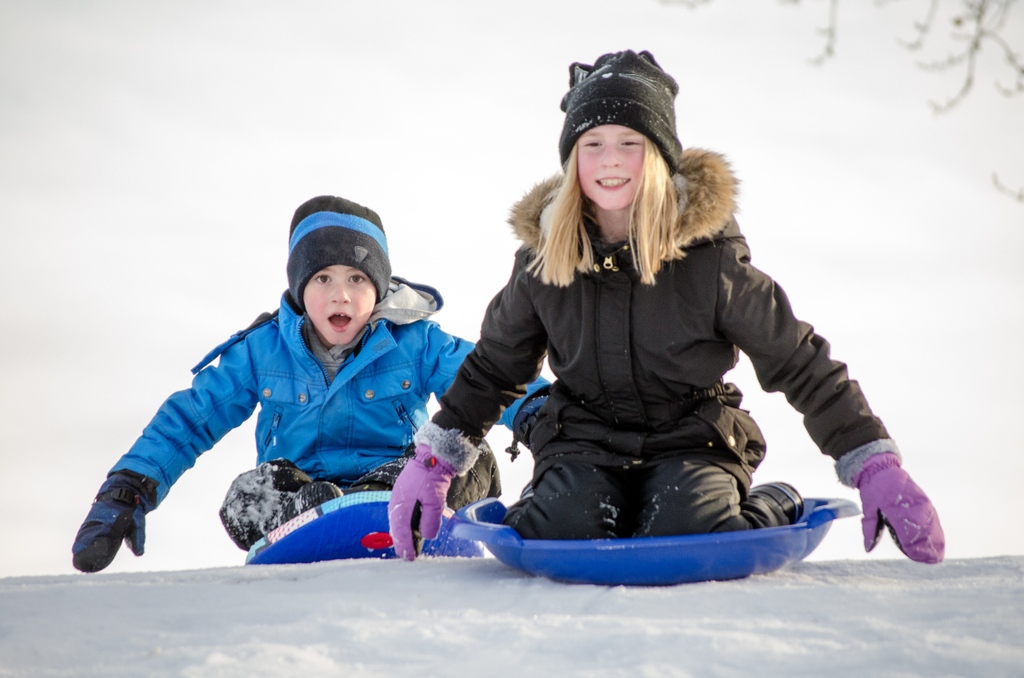 The weather is warming up this weekend and we've put together an awesome list of things to do, here’s a few ideas:

☃️ Winter activities at <a href="/BowerPondsRec/">BowerPondsRecreation</a>
🛍️ <a href="/ParklandGarden/">ParklandGardenCentre</a>’s Winter Market 
🦎 Wildlife Festival at @westernerpark

Full list: bit.ly/3jugtiO 
#VisitRedDeer