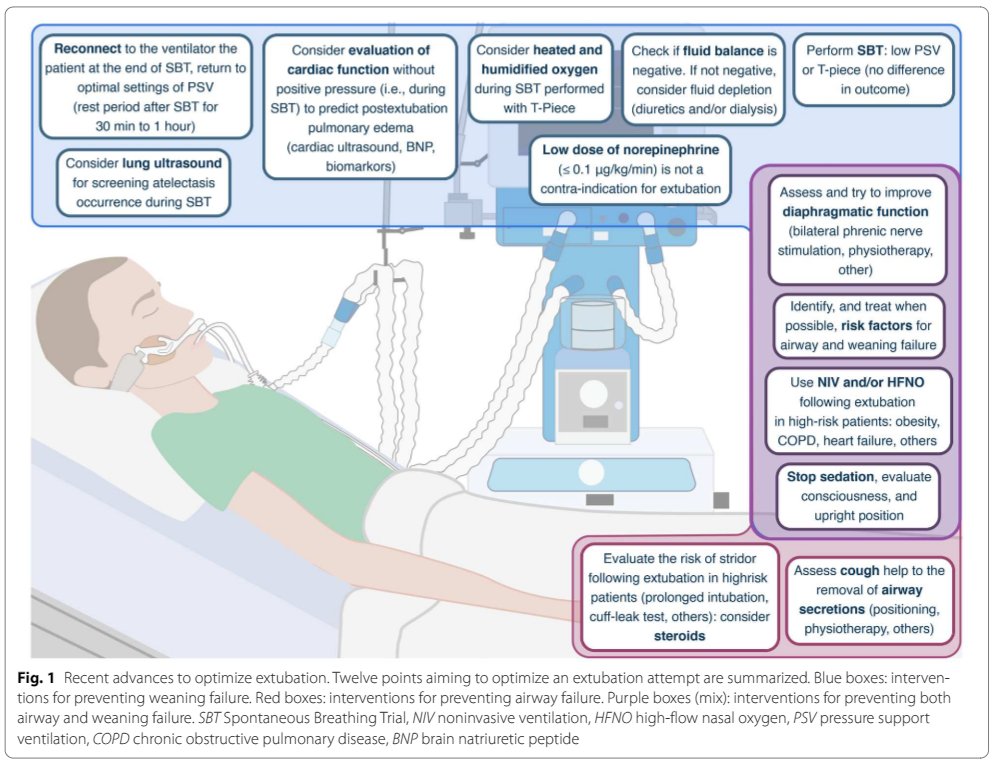 ESICM (@esicm) on Twitter photo 1/ <a href="/yourICM/">Intensive Care Medicine</a>'s highlights:
🔹 Epidemiology, clinical presentation & outcomes of 620 patients with eosinophilia in #ICU 👉 rdcu.be/c4HFy
🔹 How to optimize #extubation? 👉 rdcu.be/c4HEH 1/ <a href="/yourICM/">Intensive Care Medicine</a>'s highlights:
🔹 Epidemiology, clinical presentation & outcomes of 620 patients with eosinophilia in #ICU 👉 rdcu.be/c4HFy
🔹 How to optimize #extubation? 👉 rdcu.be/c4HEH