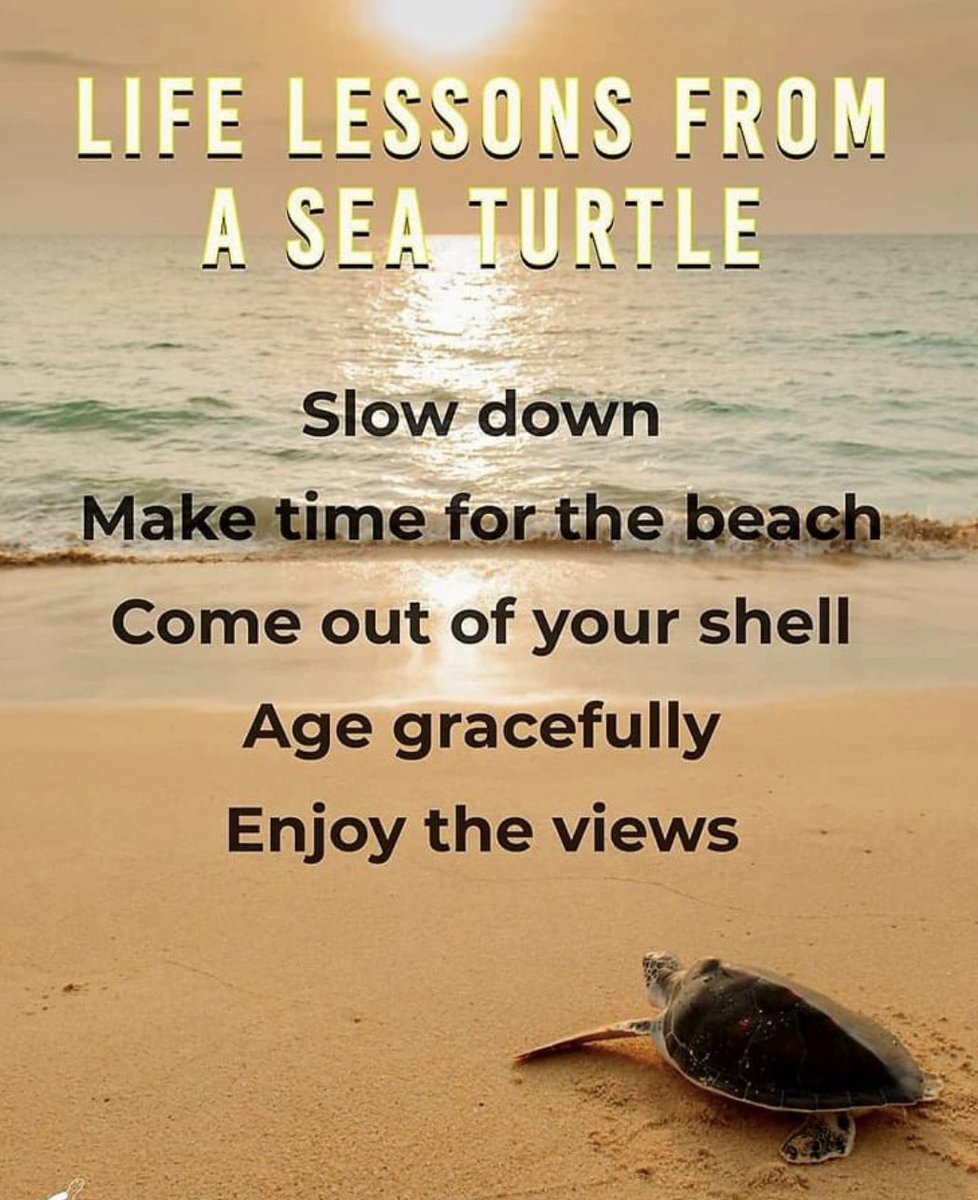 DH22018's tweet image. Happy Friday friends ☀️ #livesimple