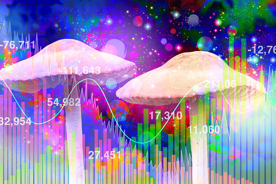 Is this really about the depth and variety of clinical studies going after different health conditions, or is this just hype to accelerate the development of the psychedelic industry as a never-ending cure-all discovery? What are your thoughts?

buff.ly/40oZEq3