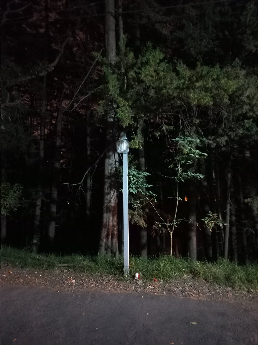 FCervantesSodi's tweet photo. ¿Cuánto costó la obra? 
¿Quien es el responsable?
¿Cuando terminarán todas las obras en 16 de sept?
Si las farolas duraron unos meses, ¿qué podemos esperar de la renovación de  cañería y tubos de agua potable? 
@CONTADEROCDMX @uv_cuajimalpa @PorCuajimalpa @CUAJIMALPACDMX https://t.co/iOM1h7HRFr