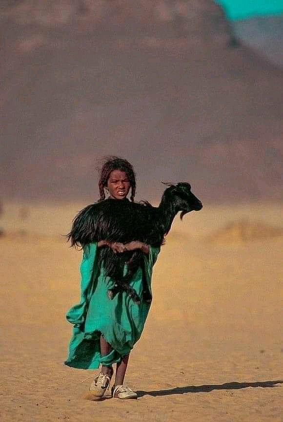 amelbn93's tweet photo. Chèvre🦙♥ #Djanit 📸🇩🇿 https://t.co/WOrwnvCwBA