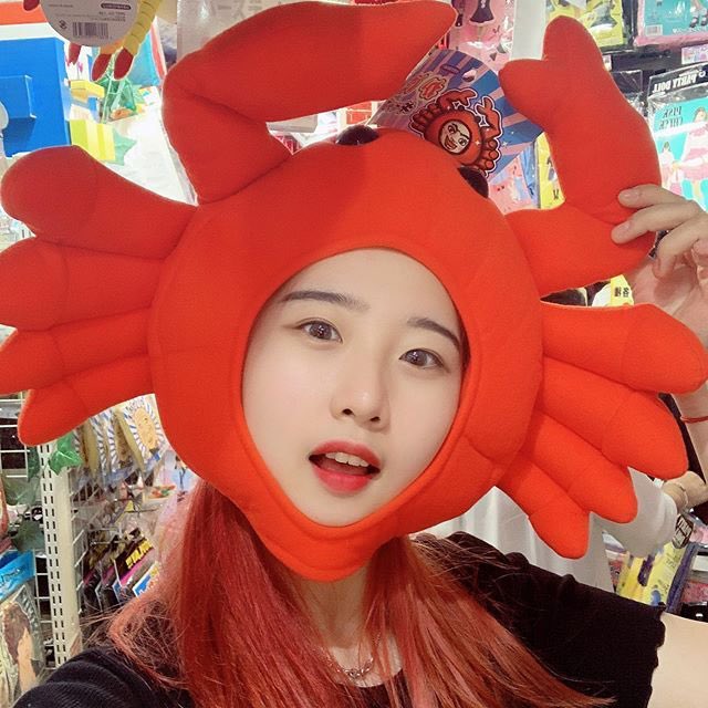 sinamo_rolling's tweet photo. 얘들아 화내지 말고
물귀신 ㅇㅈㄹ하지말고…
이거 다 어차피 욱일기야…
셋 다 욕쳐먹을 짓 한거야…
그니까 다들 악개짓 하지말고ㅜㅜ
애들 특정 사상으로 몰아가는 짓 하지 말자 https://t.co/VrY2qwVWA9
