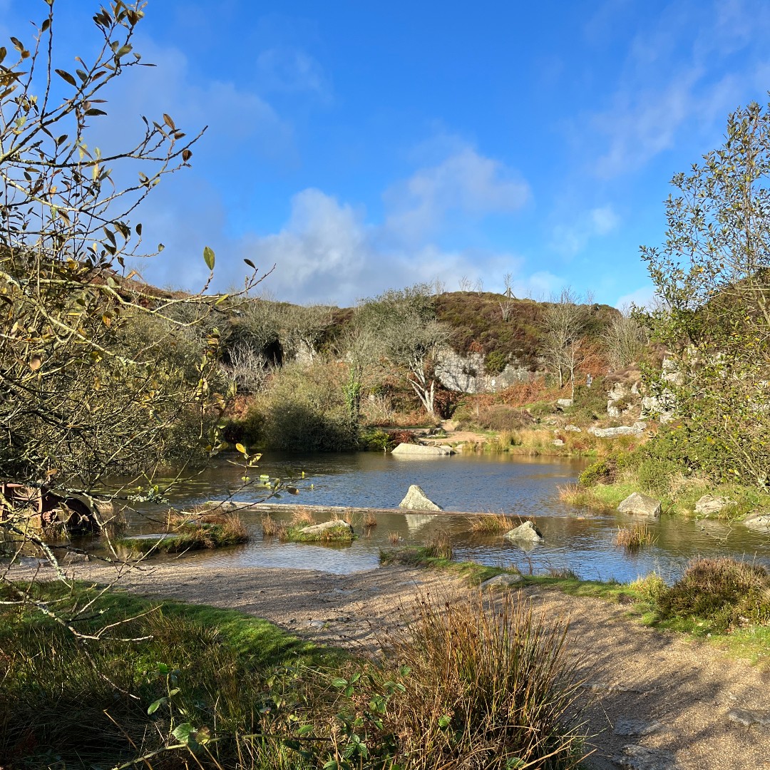 Dartmoor National Park tweet media