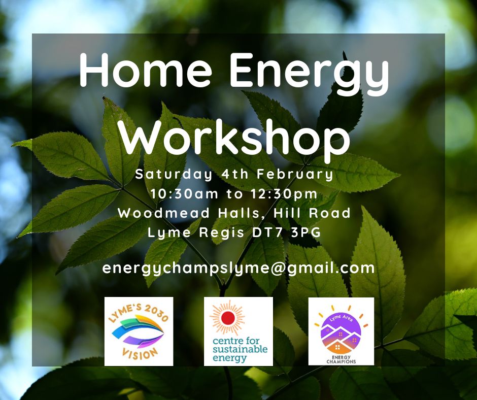 LymeTC's tweet photo. Home Energy Workshop tomorrow,

Saturday 4th February
10.30am to 12.30pm
Woodmead Halls, Hill Road 
Lyme Regis DT7 3PG
Hear how Healthy Homes Dorset and the LEAP Local Energy Advice Partnership can help you reduce your bills and keep your home warmer 
#energyefficienthomes https://t.co/wtIOaMhCQk