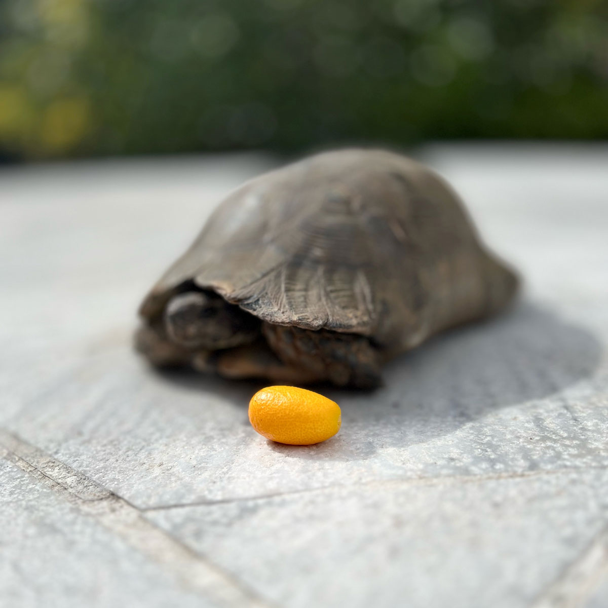 alphatrust tweet media