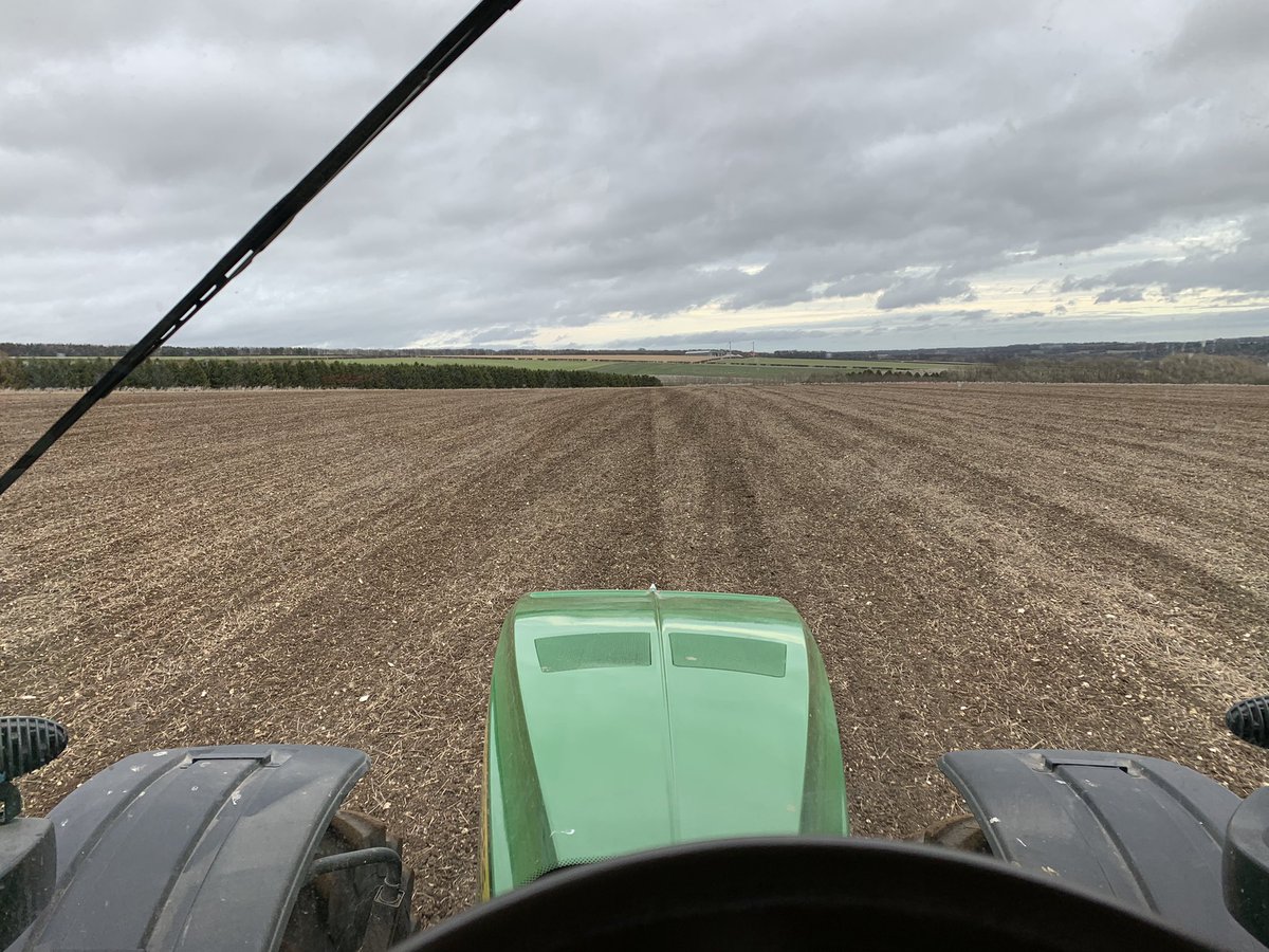 woldtopper's tweet photo. @WillJones016 Can’t beat getting it in early👍 just done ours https://t.co/3ehs1bQQJ8