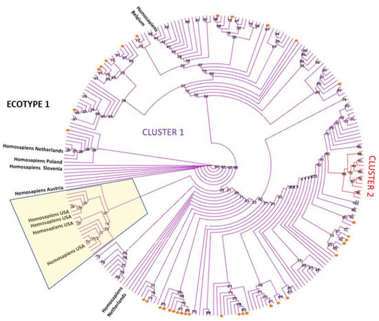 Pathogens_MDPI's tweet image. Presence of #Anaplasma phagocytophilum Ecotype I in UK Ruminants and Associated #Zoonotic Risk 

✏️by Laura Bianchessi et al.
👉Full-Text mdpi.com/2076-0817/12/2…
#TickBornePathogen
#OneHealth