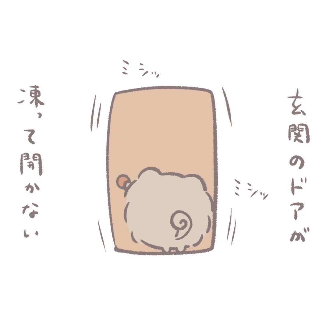 dotemaru_chow's tweet photo. 玄関のドアが凍って開かない、チャウチャウ犬のどてまる。
#イラスト #プチ不幸 https://t.co/3O6eW9K8fr