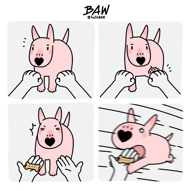 helloBAW's tweet photo. Left or right? 🫲🫱
.
.
.
#helloBAW #BAW  #doglife #animation #baddecisions #comics https://t.co/uLI2ocsXug