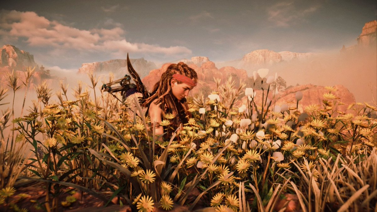 LenasView2's tweet photo. Flower Girl.. 

#Aloy #HorizonForbbidenWest #HorizonZeroDawn #BeyondTheHorizon #PhotoMode #VirtualPhotography #VPRT #VGPUnite #WorldofVP #GSVP #ArtisticofSociety #LandofVP #VirtualPhotoTop @Guerrilla https://t.co/n0LgZdcKnd