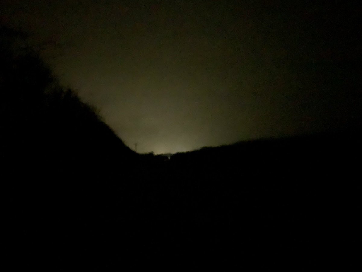 HaslemereHills's tweet photo. Another lovely pre-dawn walk from #Haslemere to #Guildford. Treated to a badger sighting and a kestrel hunting. ⁦@NTRiverWey⁩ ⁦@southeastNT⁩ ⁦@VisitSurrey⁩ ⁦@ExploreSurreyUK⁩ ⁦@SurreyHillsAONB⁩ https://t.co/feFMAuSRJI