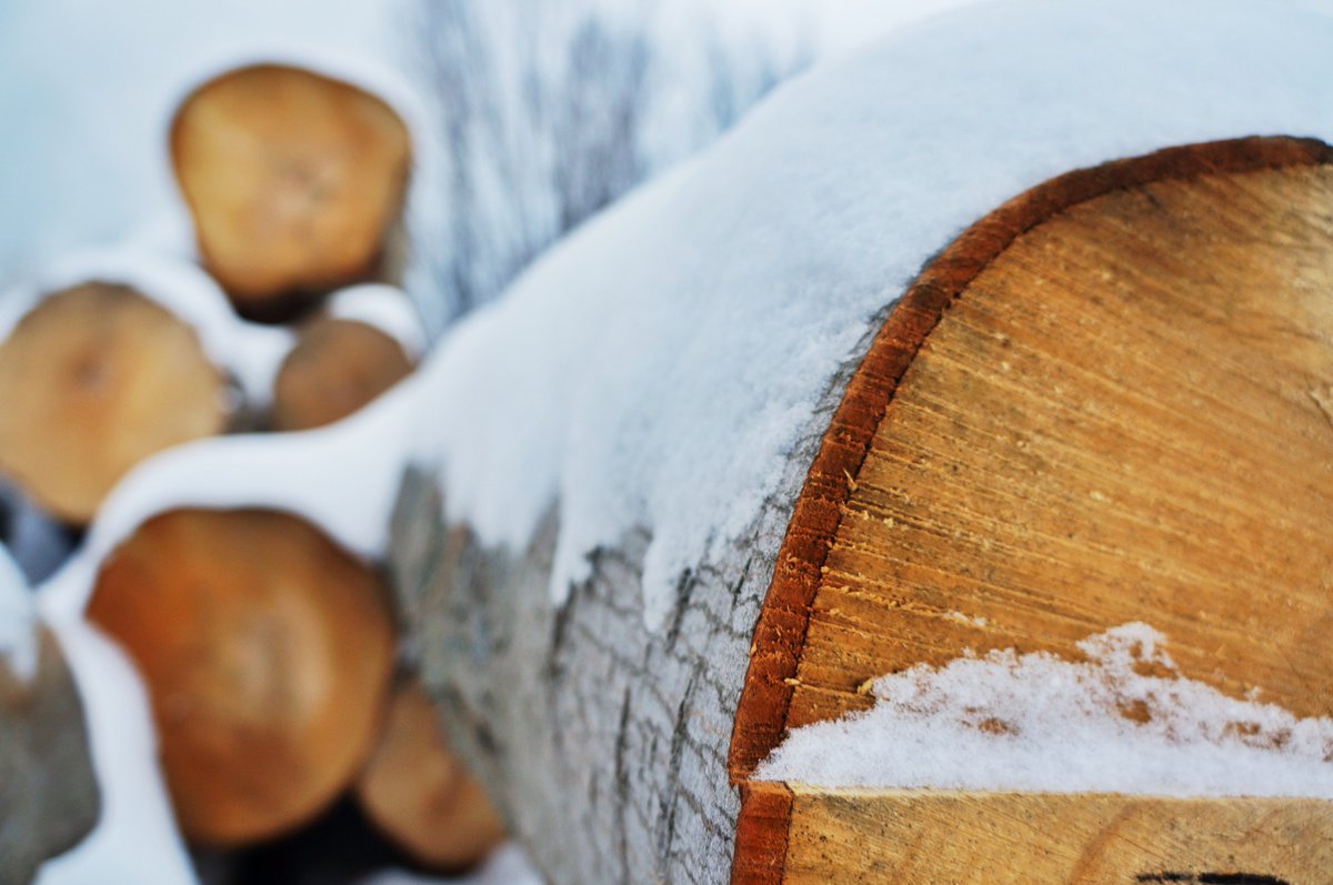 logs_big's tweet photo. We then sustainably harvest the highest grade, large residual logs, and custom cut each piece for your order (leaving nothing to waste).
STYLE WITHOUT SACRIFICE
https://t.co/R9fV6jP4E9
#gotwood #wood #wooddesign #logs #timber #customcut #customcuts #buildingmaterials https://t.co/oPfQtol2F9