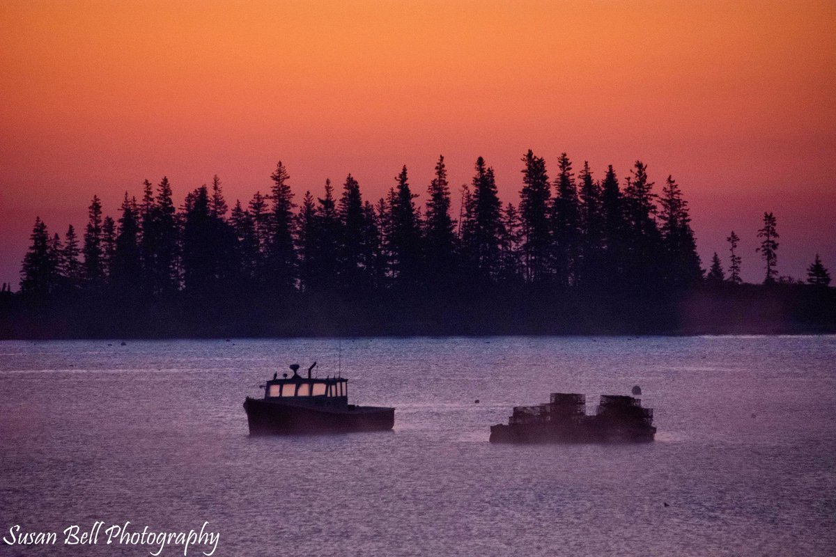 nursesusanb's tweet photo. #Maine https://t.co/sU5R2pvdMu
