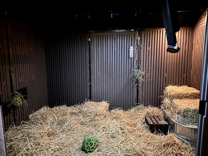 TW Pornstars Shyanne. The most retweeted pictures and videos for the