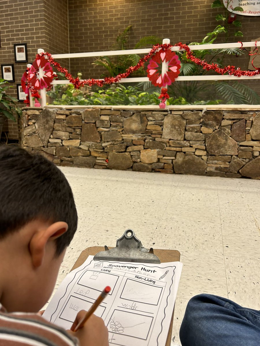 The Clarkdale Turtle pond is where the best learning takes place! Kindergarten loved searching for living and non-living things right at our front door. Turtles make everything more fun! #STEMCobb #Turtles #kindergarten #science
