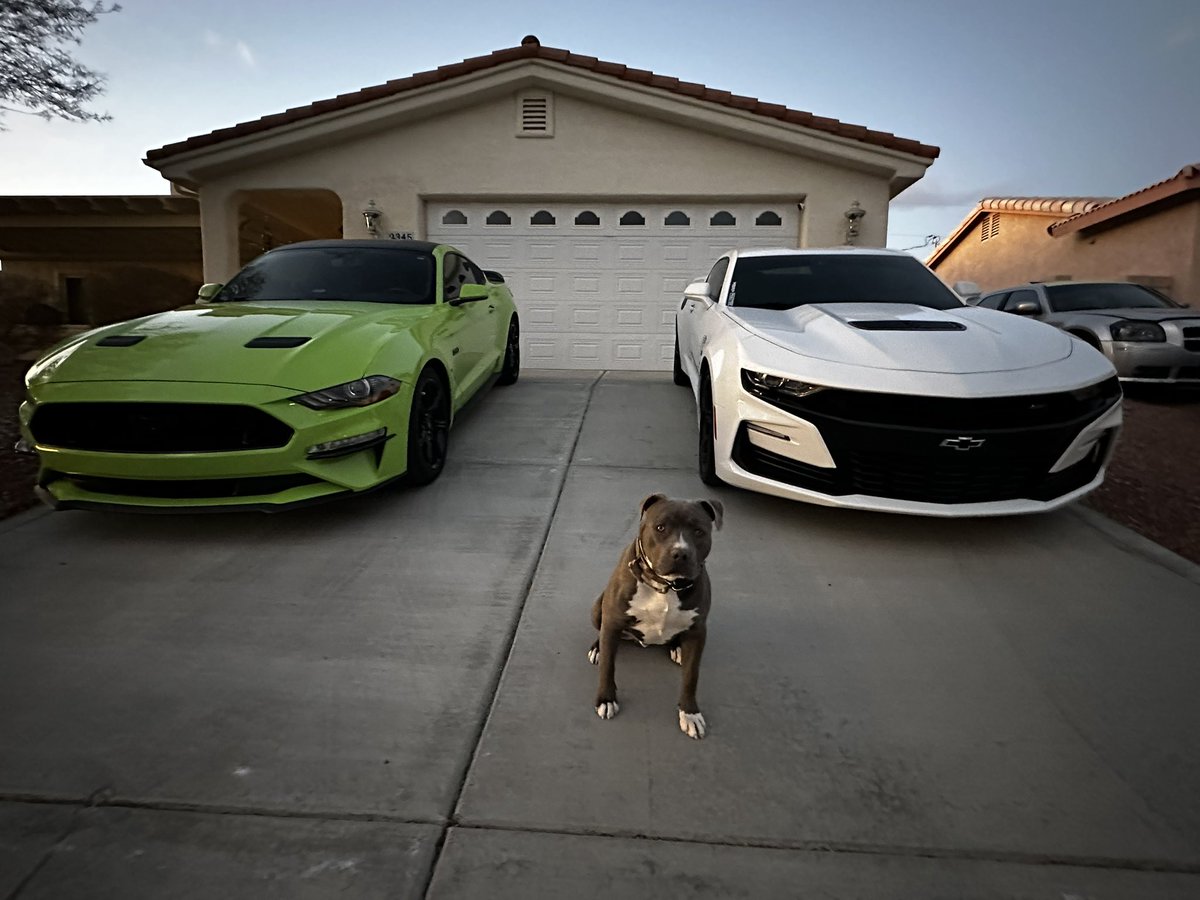 itspoppab's tweet photo. Happy Friday y’all 🤘🏼
#dukethepit https://t.co/cQ50dnUu8f