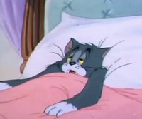 Guarromantico_'s tweet photo. Buenos días, ya quiero que sea de noche otra vez, siento que no dormí nada. https://t.co/4BXTPTZMLm