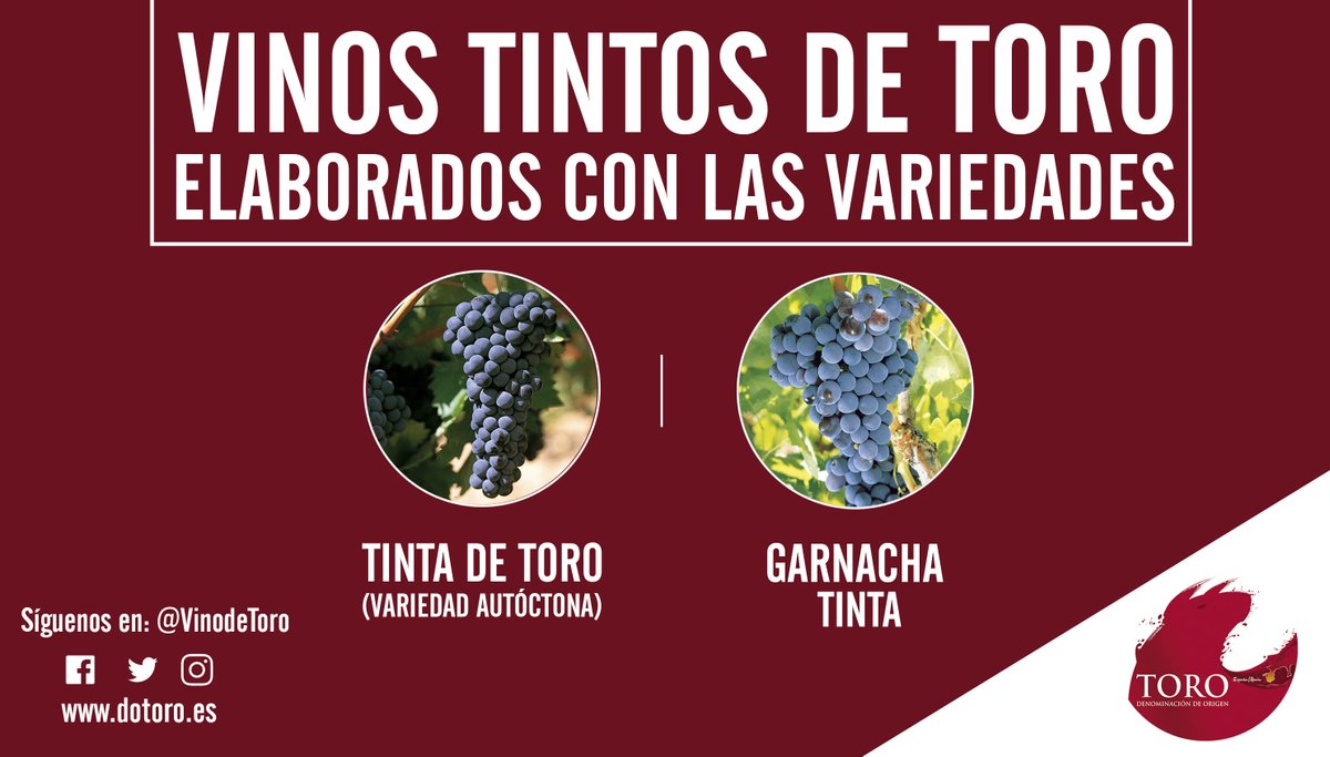 Los vinos tintos de Toro, elaborados con nuestra variedad autóctona la Tinta de Toro y con Garnacha Tinta, poseen esas características que los hacen únicos y son sin duda un gran acierto para acompañarte en cualquier momento del día. Disfruta #DOToro 🍷👇🏼❤️