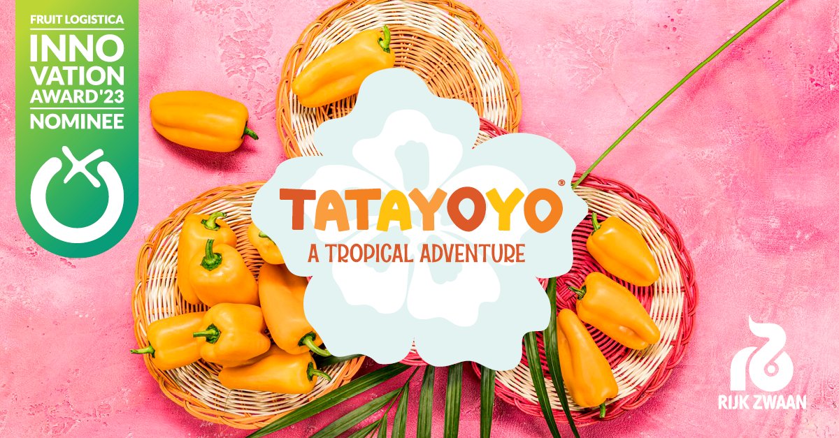 RijkZwaan's tweet photo. NEWS - Did you know that #tatayoyo has been nominated for the @Fruit_Logistica Innovation Award 2023? Visit the innovation booth at hall 20/21 or visit our Rijk Zwaan booth (Hall 1.2 D-13) to explore the unknown! #FreshlyForward #fruitlogistica2023 https://t.co/ES0MNyaHUa https://t.co/kYlDsHFBCp