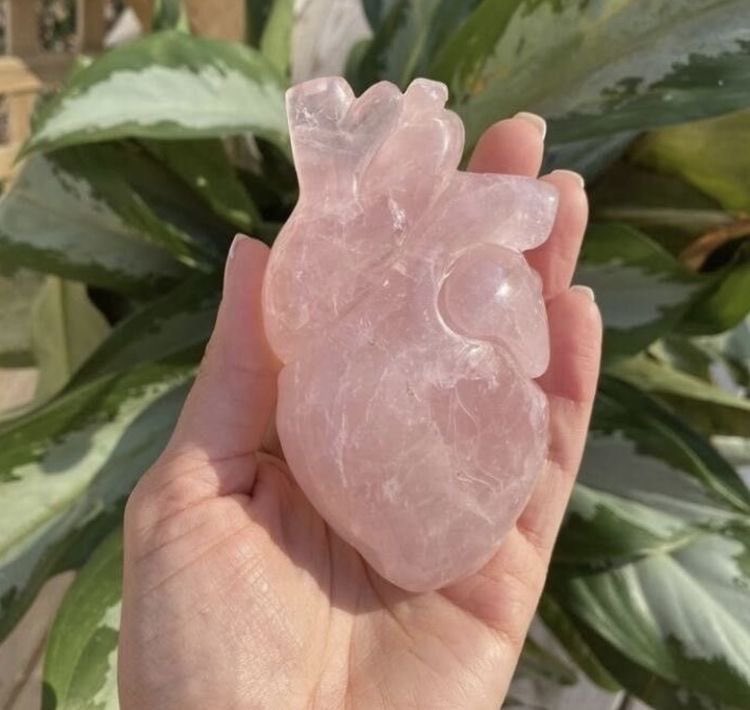 .ᐟ ★ tweet media