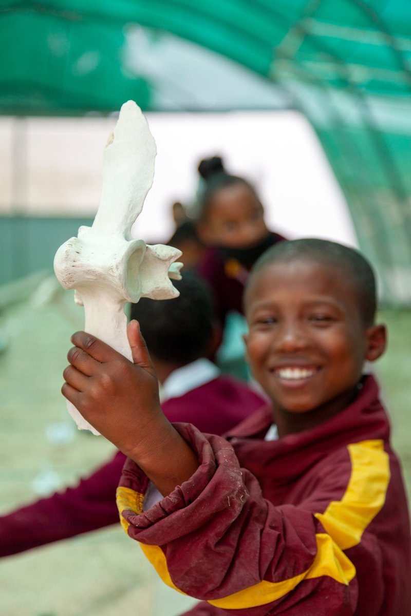 WestCoastFossil's tweet photo. Who said you can't have fun and learn at the same time?
Here at #WCFP, we love seeing the smiles on the children's and adults faces when learning about the animals that once roamed this area.
With mock digs, puppet shows, & more, this is an experience you have to come and see. https://t.co/Zlr0w945Tk