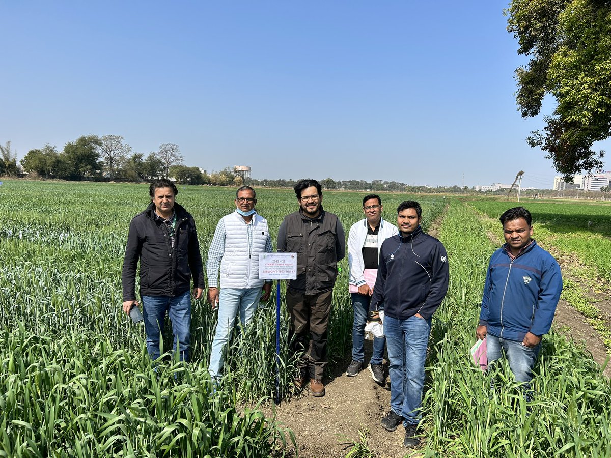 Leonardo Crespo tweet media