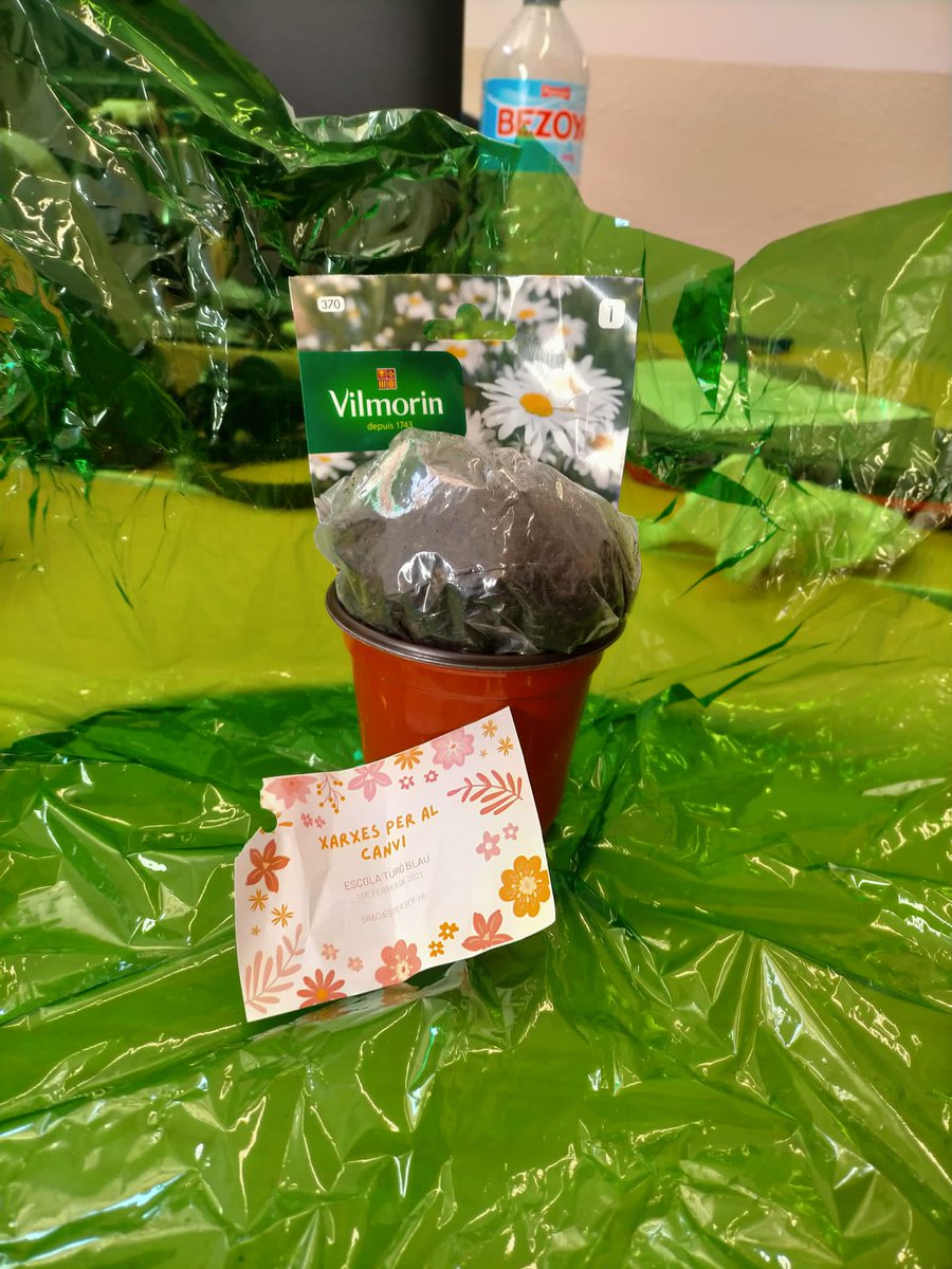 Treballem la mirada del docent cap a l'alumnat a la Xarxa 2 <a href="/CRPsantandreu/">CRP Sant Andreu</a> #Xarxespelcanvi <a href="/BlauTuro/">Escola Turó Blau</a>