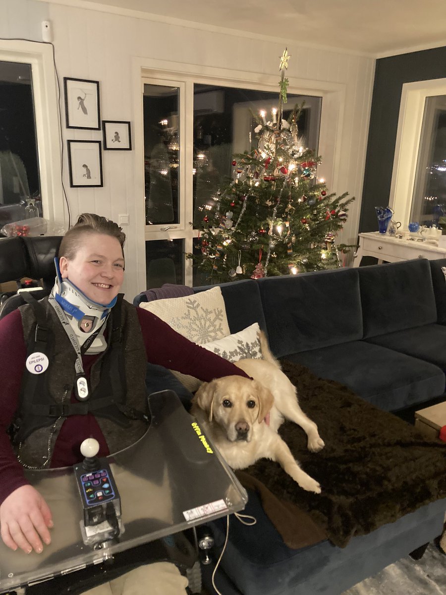 Adrian Viktor🏳️‍🌈 tweet media