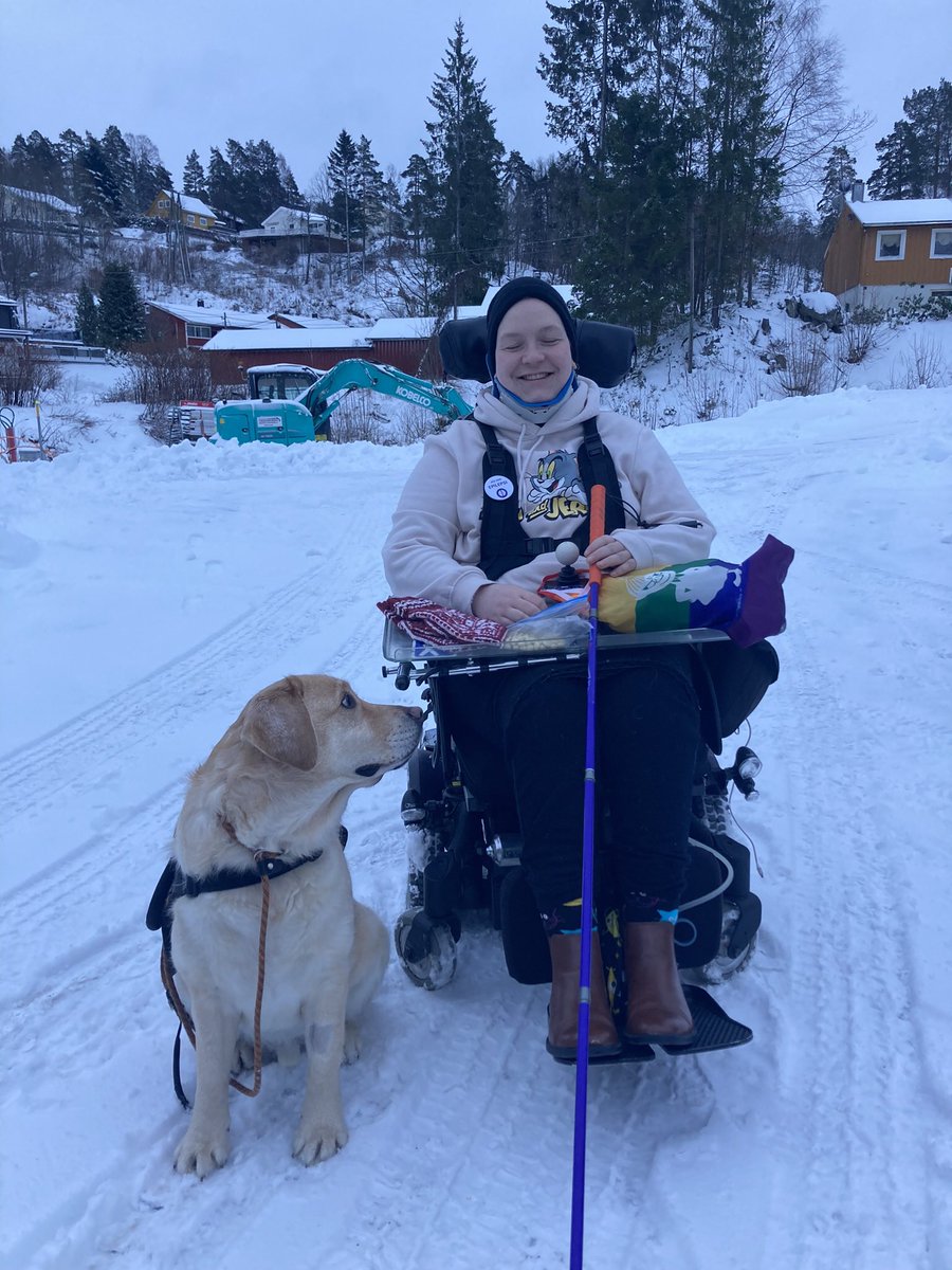 Adrian Viktor🏳️‍🌈 tweet media