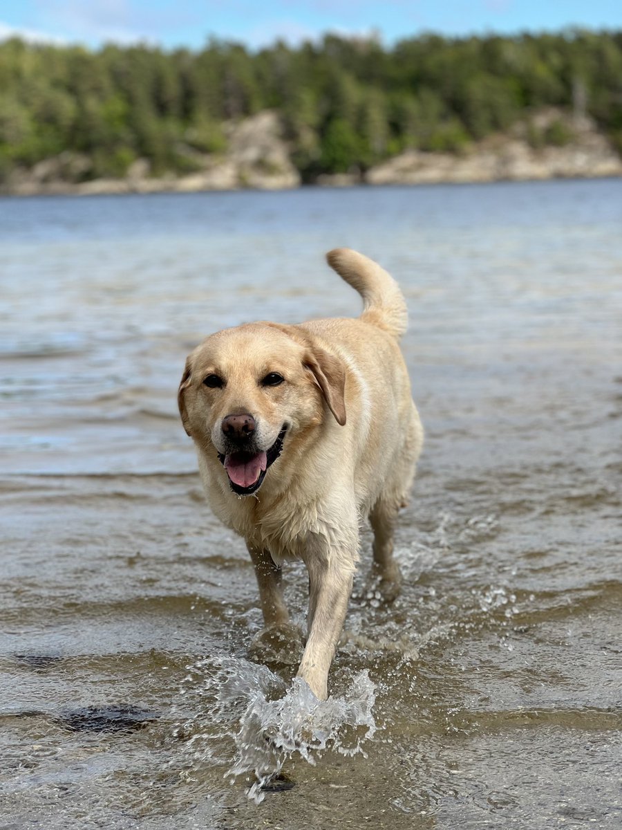 Adrian Viktor🏳️‍🌈 tweet media