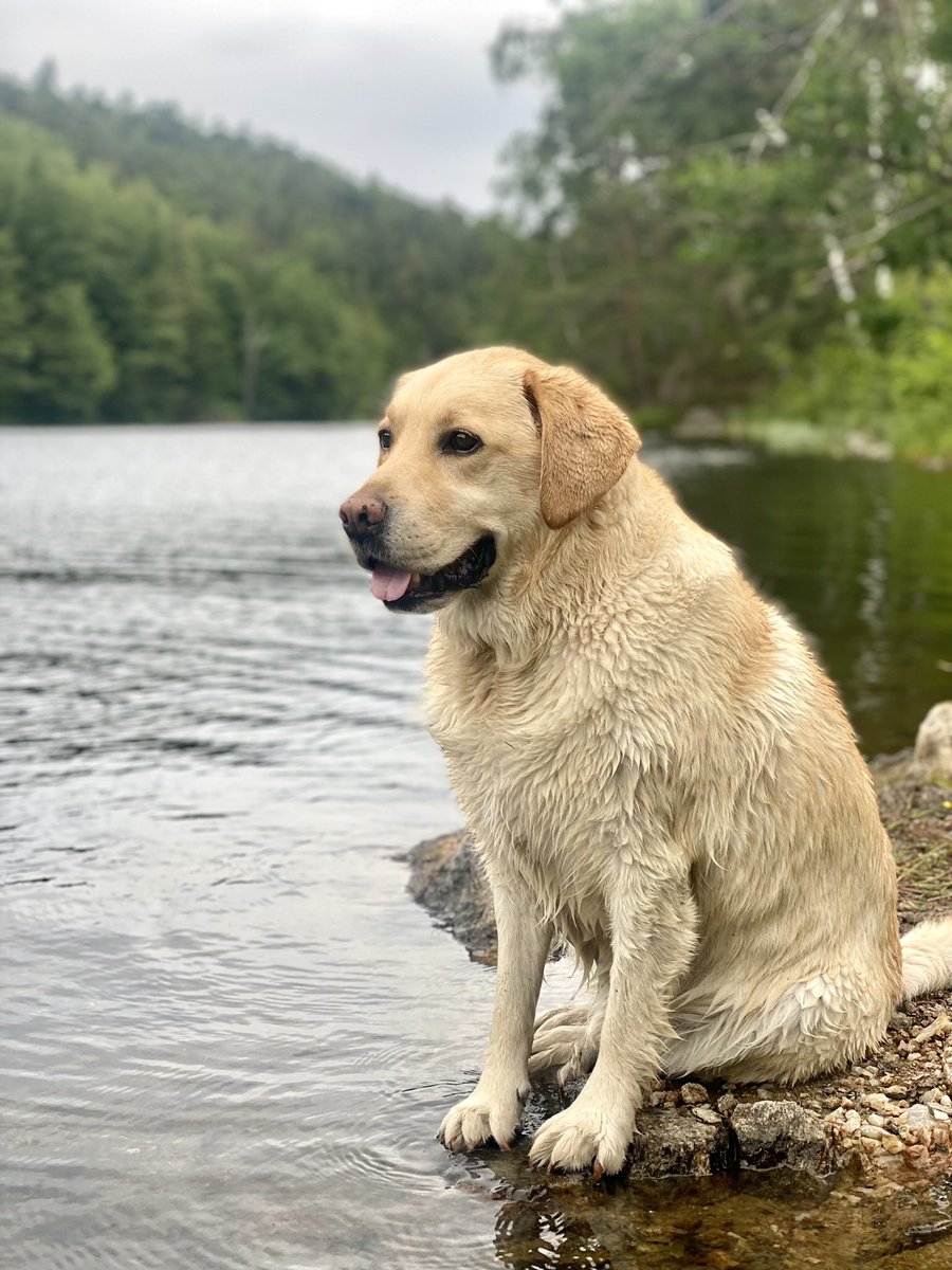 Adrian Viktor🏳️‍🌈 tweet media