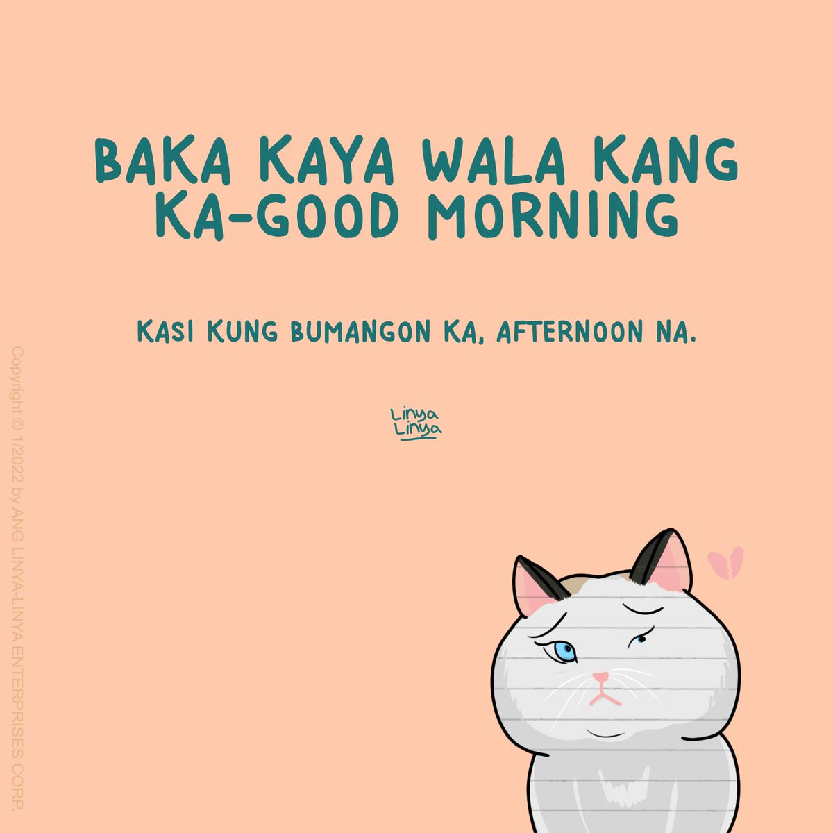 linyalinya tweet picture