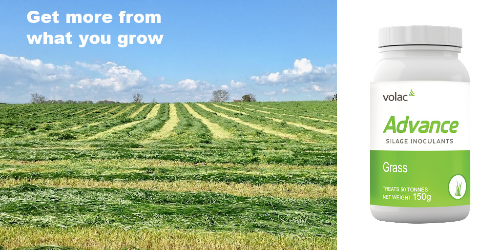 Feed_Additives's tweet photo. Advance® Silage Inoculant improve forage quality.  Approved for use in organic systems the inoculant improves #silage quality, increases digestible NDF and crude protein, reduces dry matter loss, minimising nutrient loss, improves aerobic stability. https://t.co/bbNhSJf8OU https://t.co/kxcPM7oLbZ