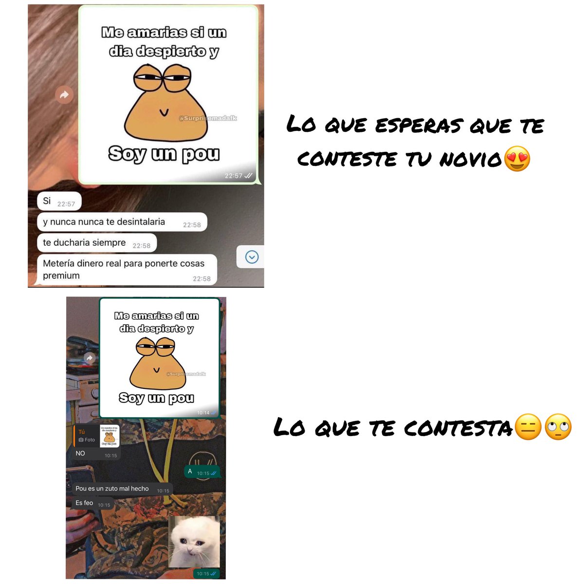 ekaaitz186's tweet photo. No se si reir o llorar😐 https://t.co/YajbdyEQNf