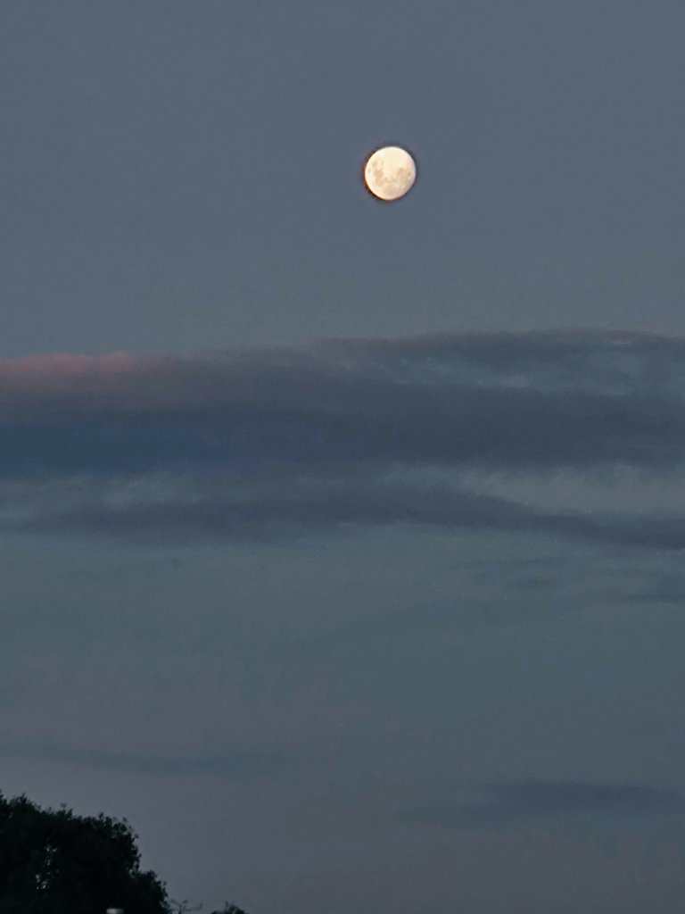 trainingaming's tweet photo. The moon https://t.co/36Ct8LdPmF