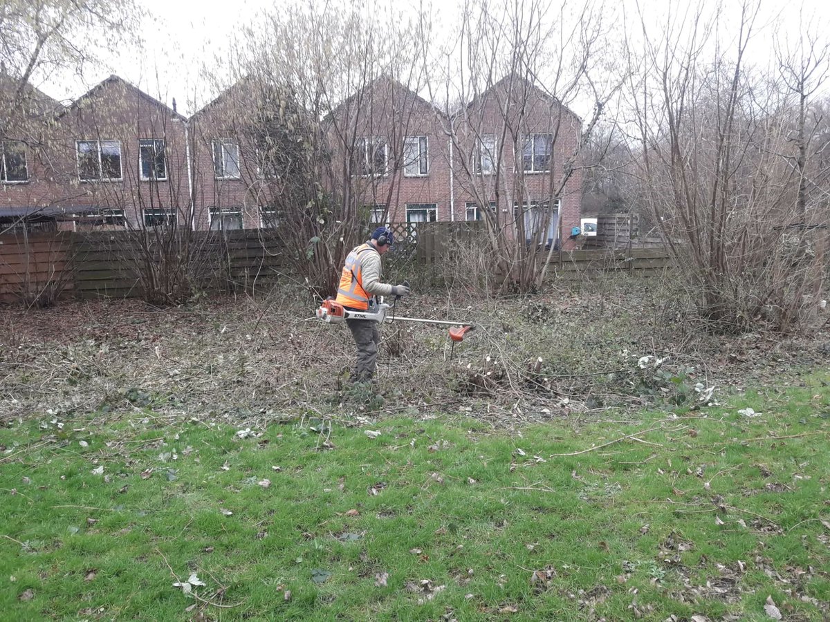Dit jaar wordt 25% vd wijken gesnoeid. In 4 jaar tijd  is de hele wijk gesnoeid. Dit jaar:
 -Meerzicht de "landenbuurt en een deel van de bergenbuurt"
-Buytenwegh een deel vd "hoven- en rodebuurt
-Leyens de stroken en een deel vd zijdenbuurt
#Zoetermeer#nettebuurt#werkenbij#HOEK
